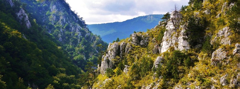 Parcul National Domogled – Valea Cernei