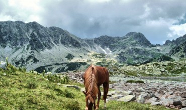 Parcurile Naționale ale României. Scurtă trecere în revistă