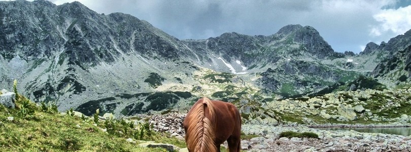 Parcurile Naționale ale României. Scurtă trecere în revistă
