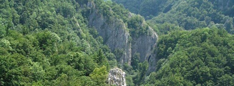 Rezervația naturală Cheile Vârghișului, paradisul sălbatic