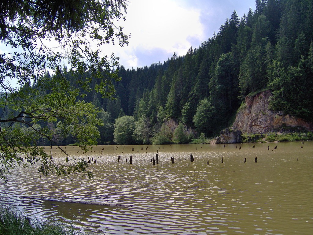 „Lacul Rosu 092”. Sub licență Domeniu public via Wikimedia Commons - httpscommons.wikimedia.orgwikiFileLacul_Rosu_092.jpg#mediaFileLacul_Rosu_092.jpg