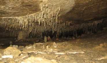 Peștera Măgurici, peștera cu lilieci