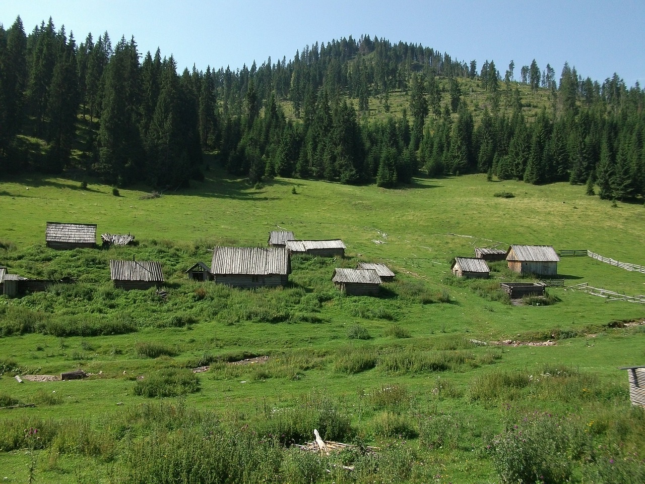Munții Carpați (3)