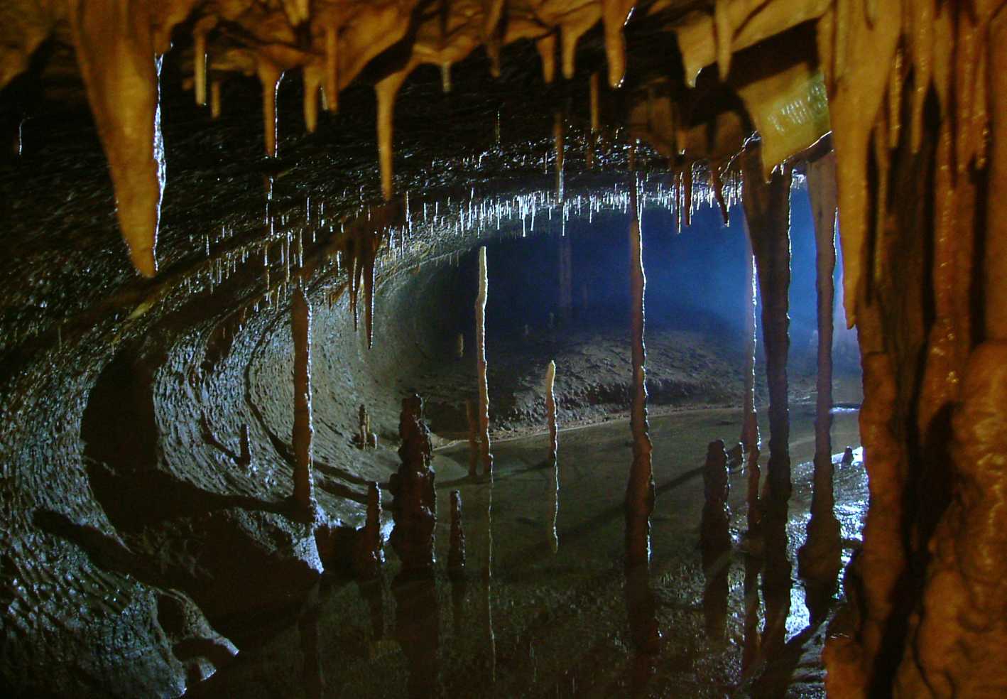 Peștera Topolnița (3)