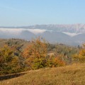 Wild Carpathia: România, minunea Europei
