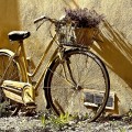 Pe bicicletă. Trasee în Podişul Hârtibaciului – Târnava Mare din Transilvania