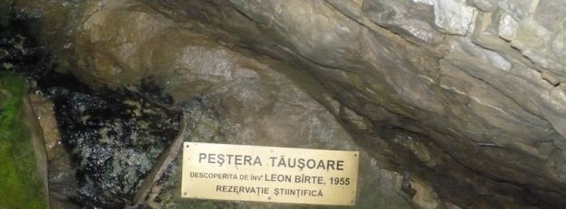 Peștera Tăușoare. Cea mai lungă peșteră din Carpații Orientali